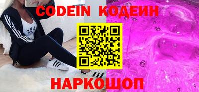 стаф Гатчина