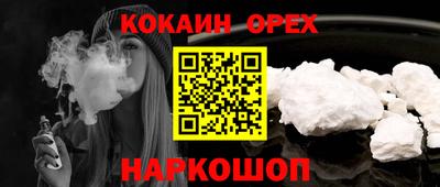 стаф Гатчина
