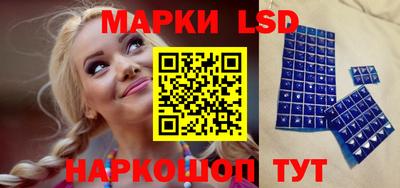 стаф Гатчина