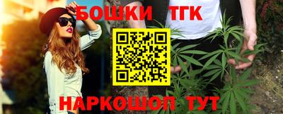 стаф Гатчина