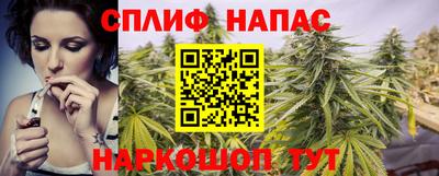 стаф Гатчина