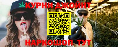 стаф Гатчина