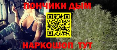 стаф Гатчина