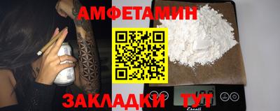 стаф Гатчина