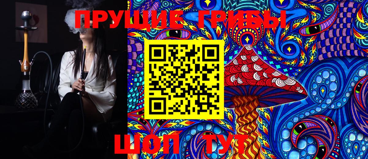 Псилоцибиновые грибы Psilocybe Нерюнгри