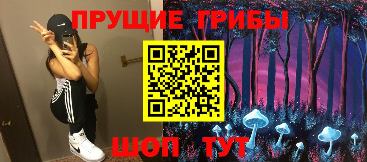 Галлюциногенные грибы Psilocybe  Вход с VPN  Нерюнгри 